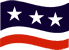 USA Flag Icon